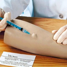 오픈메디칼(특가) 피내주사 실습모형 kar11 간호실습모형 보건교육