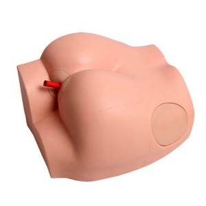 오픈메디칼JS 엉덩이 근육 주사모형 - 주사실습모형