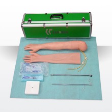 오픈메디칼(특가) Kangren 정맥주사실습 팔 모형 karS2 보건교육 간호실습
