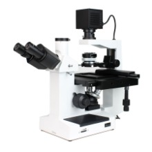 오픈메디칼삼안줌 배양 현미경 INX-2 와이드 접안렌즈 확대경