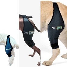 오픈메디칼오르토카니스 강아지 슬개골 관절 보호대 ORT003 동물용 의료기기